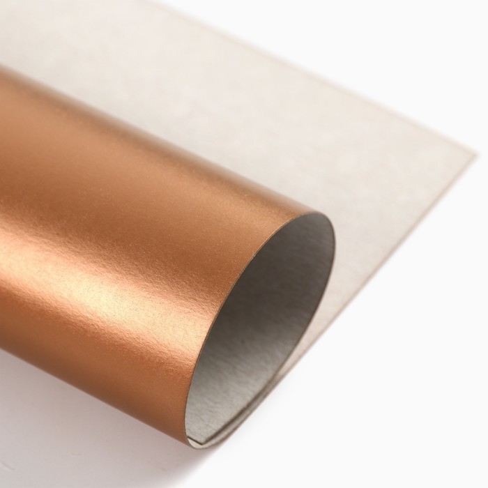 Картон цветной, А4, 10 листов, 10 цветов, немелованный, односторонний, в папке, 220 г/м&sup2;, Щенячий патруль