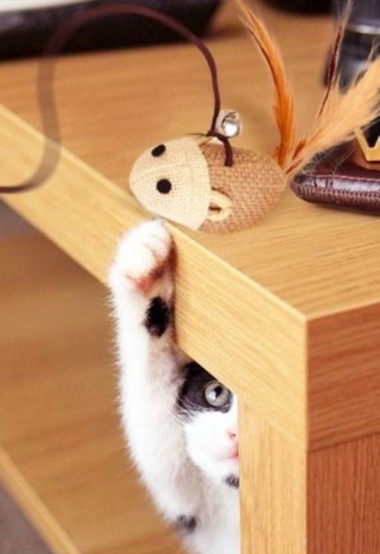 Удочкка дразнилка для кошек