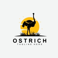 Ostrich