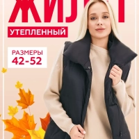 Жилет утепленный Brioss 42 (XS)