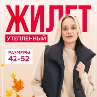 Жилет утепленный Brioss 42 (XS)