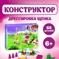 Конструктор Friends Дрессировка щенка 65 деталей