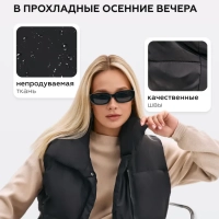 Жилет утепленный Brioss 50 (XL)